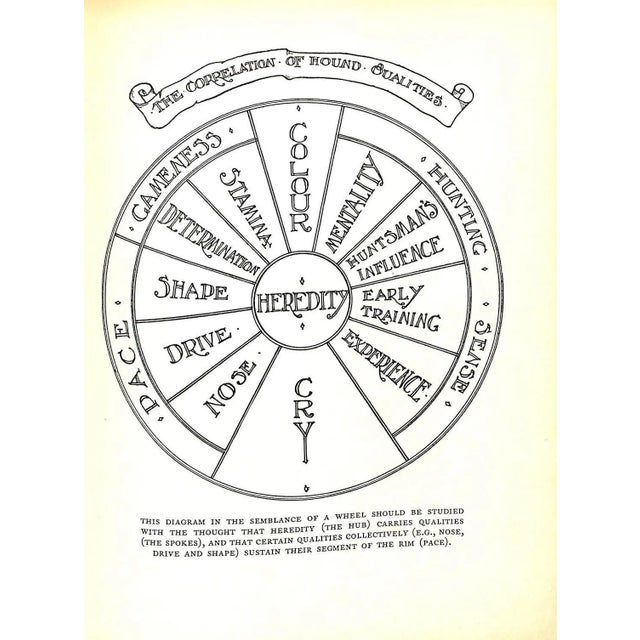 "Hounds and Hunting: Through the Ages" 1933 Thomas, Joseph B. [m.f.h.] For Sale - Image 13 of 16