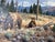 2000 - 2009 2006 Brian A. Grimm (B. 1968) “Watchful Eye” Original Wildlife Impressionist Oil on Masonite Painting – Rustic Wood Framed For Sale - Image 5 of 12