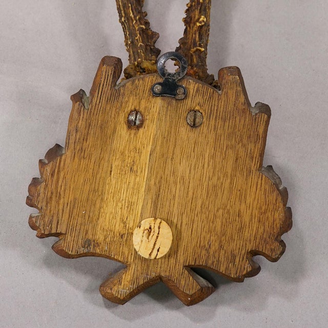 Rustic European Antique Black Forest Red Deer Trophy on Carved Plaque, Germany 1929 For Sale - Image 3 of 4