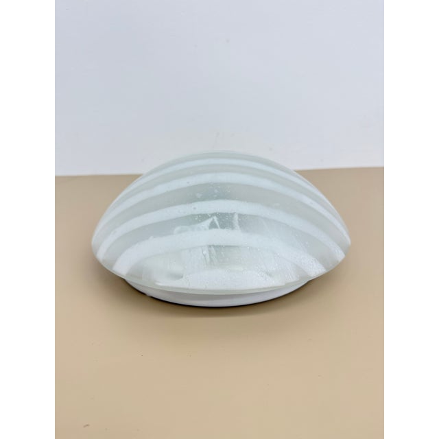Glass Zebra Flush Mount from Peil & Putzler, Germany, 1970s For Sale - Image 18 of 18