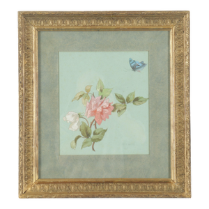Antique 19th Century American Floral Botanical Watercolor Study of a Rose and Butterfly Signed Copely in Gilt Frame