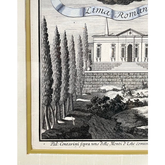 18th Century Nuremberg Hesperides Botanical Engraving by Johann Volckamer For Sale - Image 4 of 9