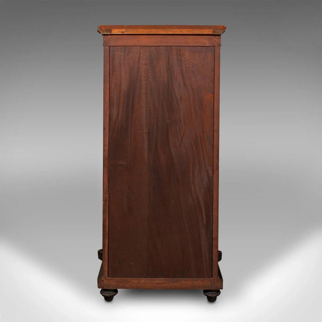 1820s Regency Antique Gentleman's Folio Cabinet, English, Birds Eye Maple, Decorative For Sale - Image 6 of 13