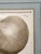 Pair (2) Matted and Framed Botanical Engravings of Gourds For Sale - Image 9 of 9