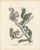 Antique Squirrel & Flying Squirrel Lithographs – Brodtmann after Schinz c.1830 This finely detailed set of two zoological...