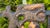 Dimensions: height 33.5 cm, width 17.5 cm, depth 2.3 cm.