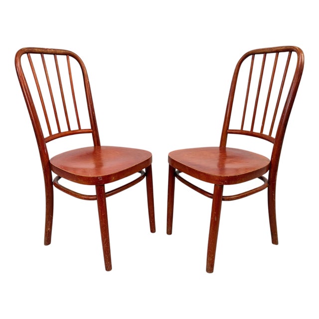 Bentwood Model A63 Side Chairs by Josef Frank for Thonet-Mundus, 1930s, Set of 2 For Sale