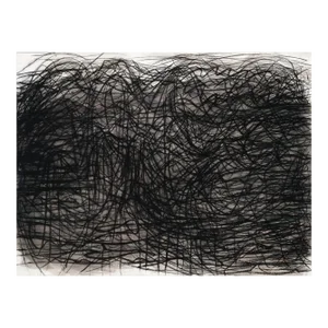 Contemporary Abstract Charcoal Ink and Pastel on Paper Drawing "Arietta Series 1" by Margaret Neill