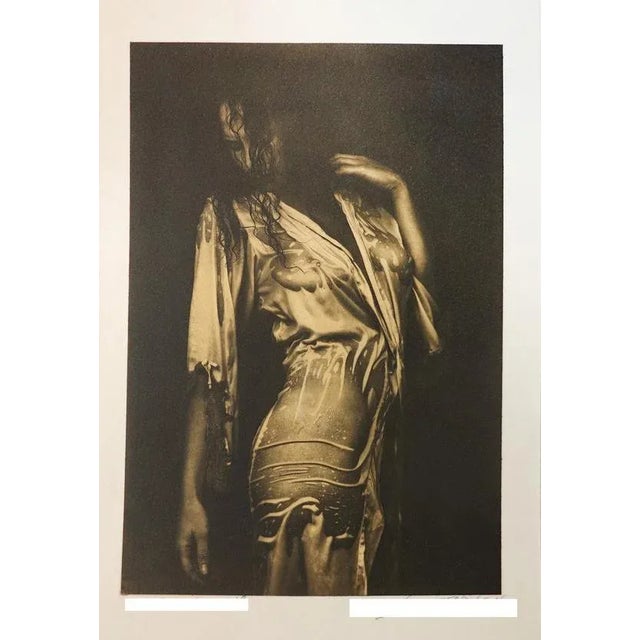 Ian Sanderson, Nathalie, Platinum Palladium Print, 2006 For Sale - Image 6 of 6