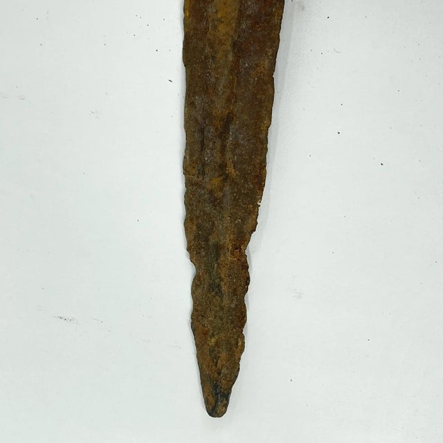 Early 20th Century Early 20th Century Zande Iron Sword in Sheath with Wood Handle For Sale - Image 5 of 9