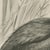 After Lilian Medland, Glossy Ibis, 1909, Print For Sale - Image 6 of 9