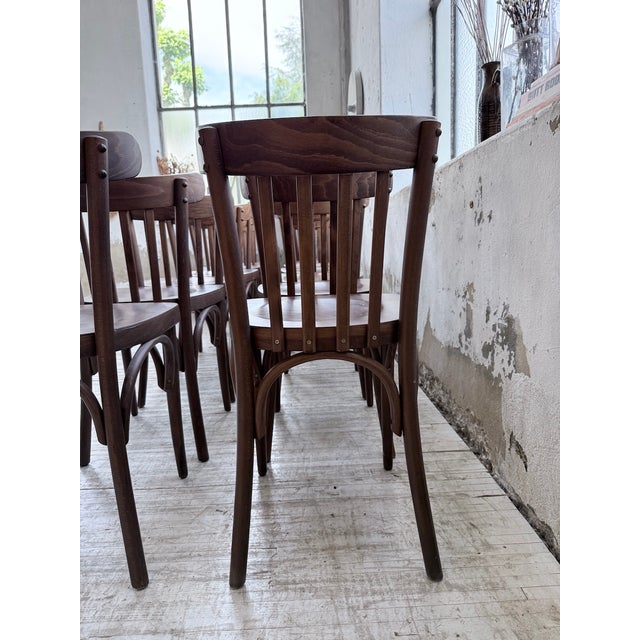 Walnut Bistro Chairs, 1970s, Set of 14 For Sale - Image 17 of 18