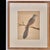 Birds: Antique Copperplate Engravings of by François Martinet - Set of Four For Sale - Image 10 of 14