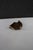 Metal Berry & Co. Copper Ashtray With Deer Antler Handle For Sale - Image 7 of 14