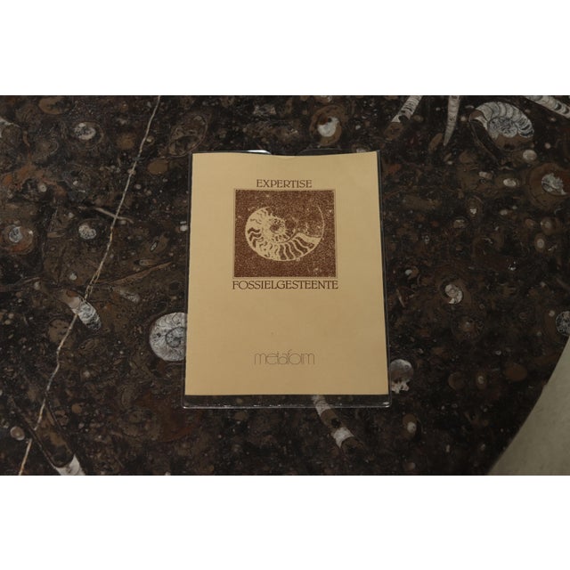 Brown Vintage Fossil Limestone and Wood Coffee Table from Metaform, 1980s For Sale - Image 8 of 10