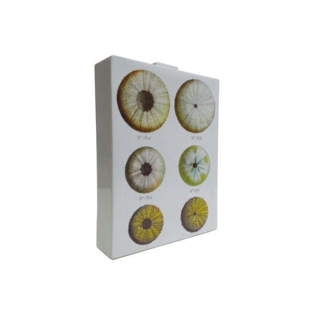 Fabienne Jouvin Paris 2-Sided Porcelain Jar/Vase - A Study of Sea Urchins For Sale - Image 4 of 12