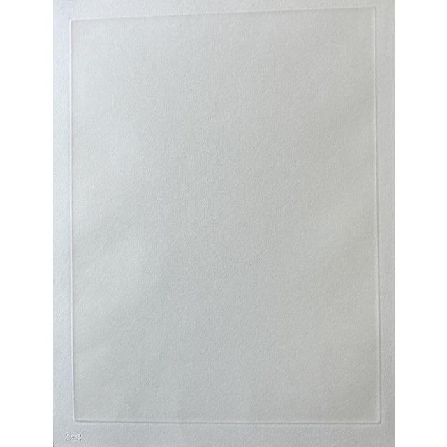 Jean-Baptiste Secheret, Still Life at the Alcurza, 2019, Etching For Sale - Image 5 of 6