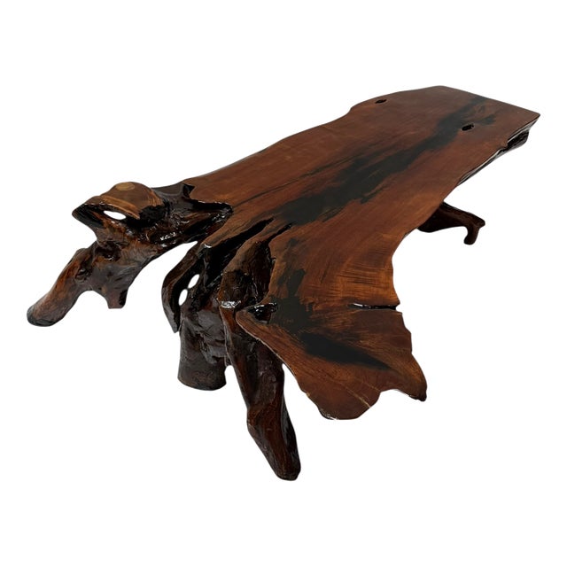 Brutalist Tree Root Coffee Table, 1970s For Sale