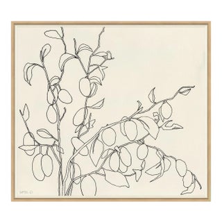 Olives Framed Art Print by Susan Hable For Sale