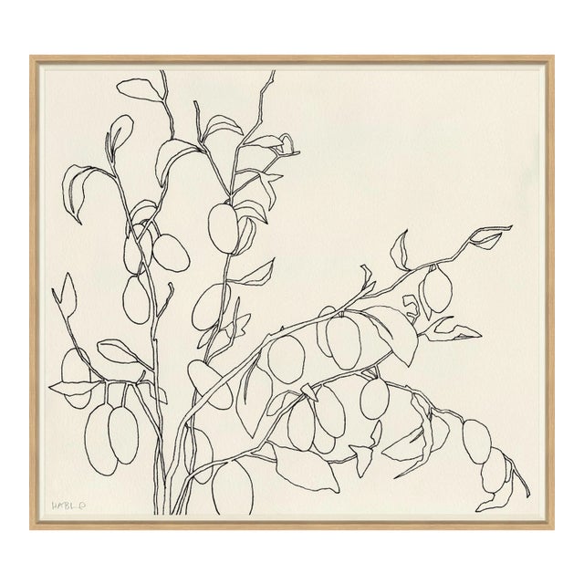 Olives Framed Art Print by Susan Hable For Sale