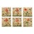 Gallery Wall Installation 'Insects and Flowers' Botanical Floral Prints | Unframed For Sale
