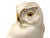 White Antique Hutschenreuther Porcelain Owl Figurine Art Deco Germany Fritz Klee C. 1930 Animal Decor For Sale - Image 8 of 11