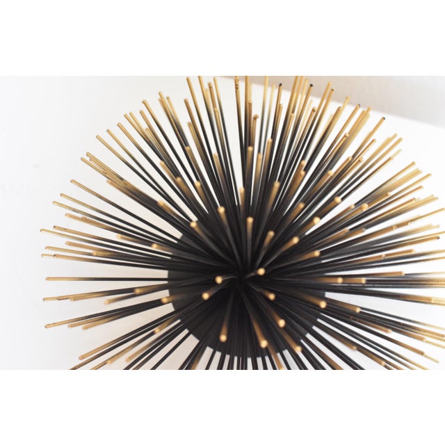 Sea Urchin Wall Decor Chairish