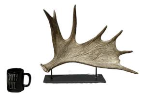 Side Mounted Moose Antler/Paddle 2