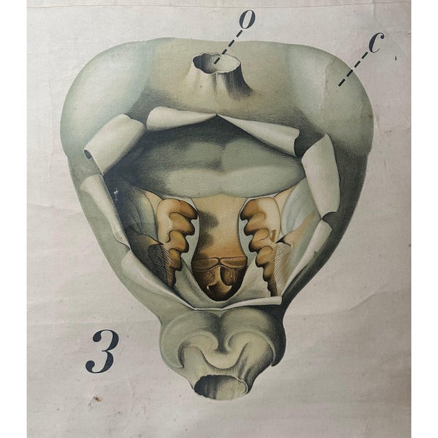 1920s Vintage Periodic Table of the Elements School Chart in Linen by Paul Pfurtscheller, 1920s For Sale - Image 5 of 14