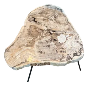 Andrianna Shamaris Minimalist Petrified Wood Coffee Table or Side Table