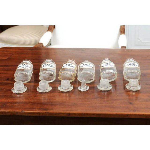 French 1840s French Louis-Philippe Period Glass Apothecary Jar with Latin Label For Sale - Image 3 of 12