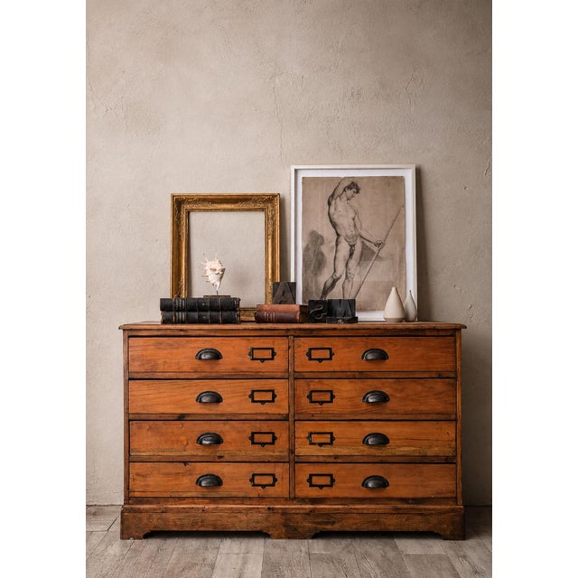 Antique English Pine Shop Chest of Drawers, UK, 1890s For Sale - Image 16 of 16