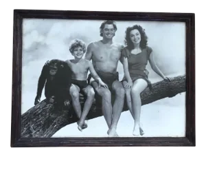 Me Tarzan You Jane Framed Hollywood Photo