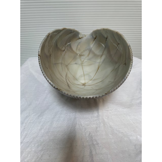 Design Plus Gallery presents a Glass Cartoccio Seashell Centerpiece Bowl from Murano. Dive into the artistry of authentic...