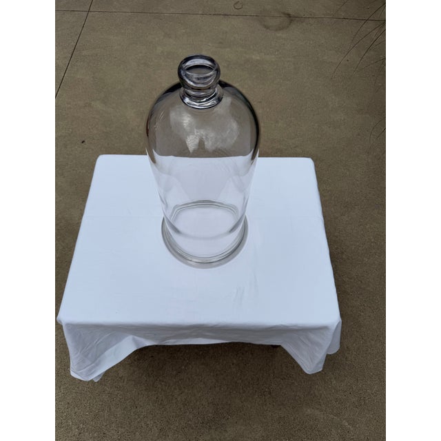 Transparent Early 20th Century Glass Cloche For Sale - Image 8 of 8