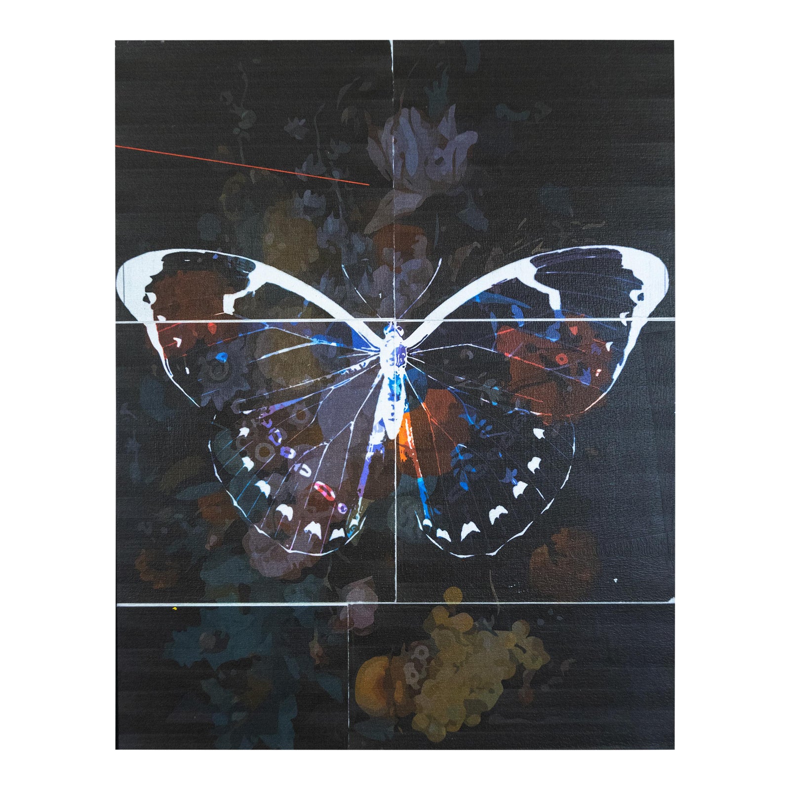 "Butterfly Hope, Butterfly Black" Contemporary Butterfly Mixed Media