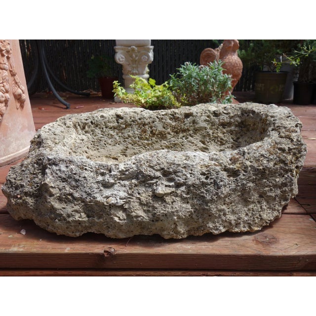 Gray Old Italian Primitive Fossil Stone Trough Hand Carved from Ancient Limestone For Sale - Image 8 of 12
