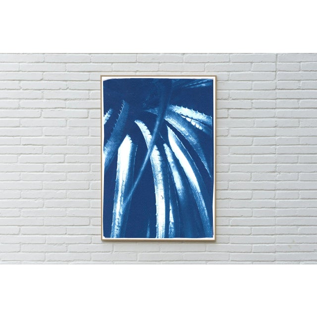 Paper 2021 "Jurassic Aloe Leaves" Contemporary Cyanotype on Watercolor Paper For Sale - Image 7 of 10