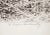 1990s 1996 Ann Chernow Day Oil the Country Intagliotype For Sale - Image 5 of 7