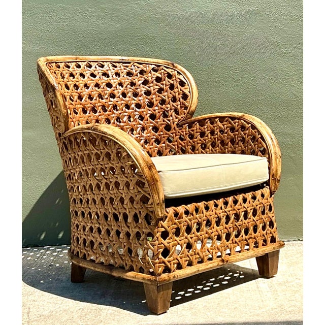 Vintage French Cane Lounge Chair For Sale - Image 9 of 17