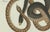 Black Bertuch, Four Exotic Snakes, 1802, Engraving For Sale - Image 8 of 10