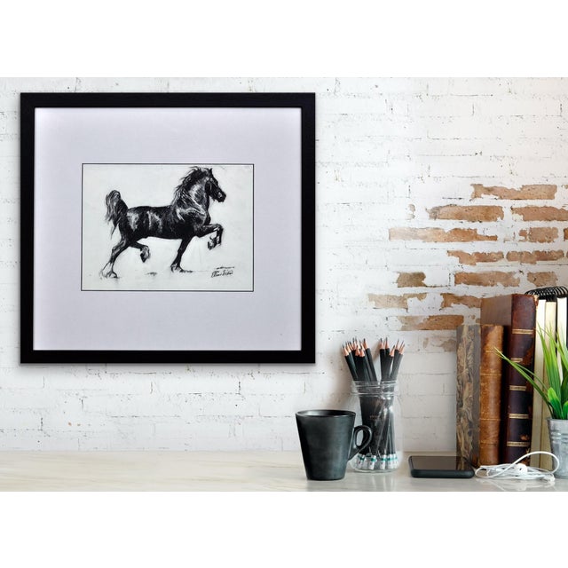 Elin Sian Blake, Black Welsh Cob, Charcoal on Paper For Sale - Image 11 of 18