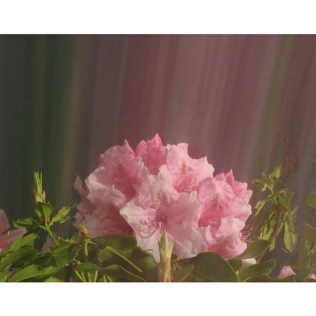 This large 40" x 30" abstract photographic print is by designer/artist/photographer Joseph Fountain, created in 2015. From...