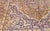 Vintage Turkish Silk Area Rug, Floral Medallion, Mid-20th Century, 4' x 6' For Sale - Image 13 of 18
