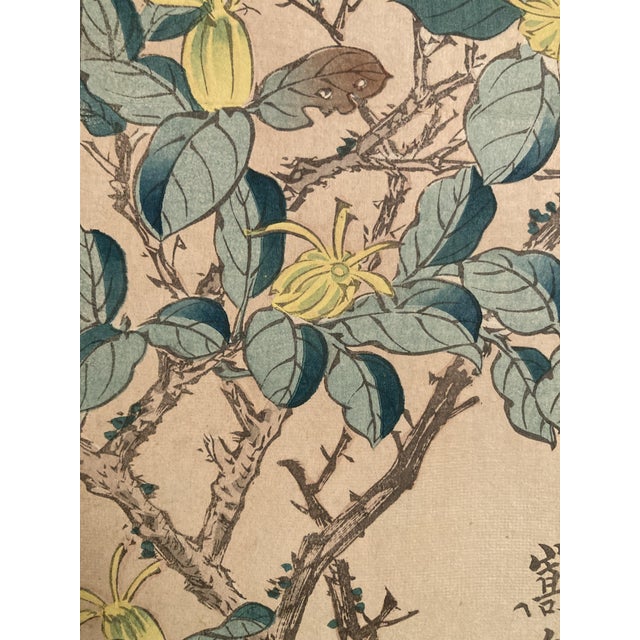 Nakayama Sūgakudō, Verdier Et Gardénia, 1859, Woodblock Print For Sale - Image 10 of 13