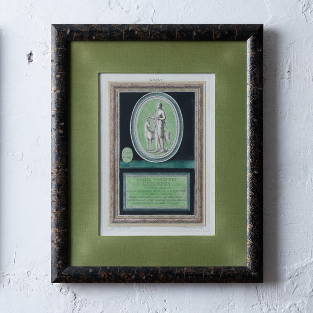 Mid 18th Century Cosimo Colombini Engravings, c.1760s For Sale - Image 5 of 8