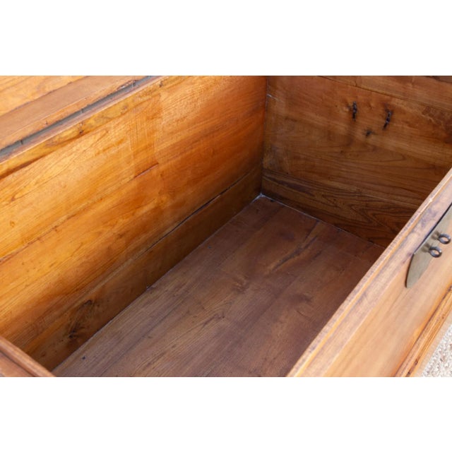 Large Antique Traditional Camphor Wood Chest For Sale - Image 11 of 12