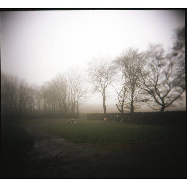 Contemporary Paul Cooklin, Fog, Photograph For Sale - Image 3 of 3