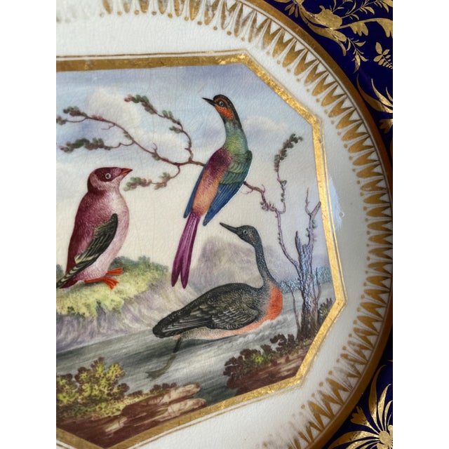Ink Blue Antique English Bloor Derby Cobalt and Gold Fancy Birds Plates by Richard Dodson, Regency Circa 1815 -Set of 6 For Sale - Image 8 of 9