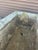 Pair of 1910 Asheville Estate Cast Concrete Rectangular Planters / Troughs For Sale - Image 9 of 11